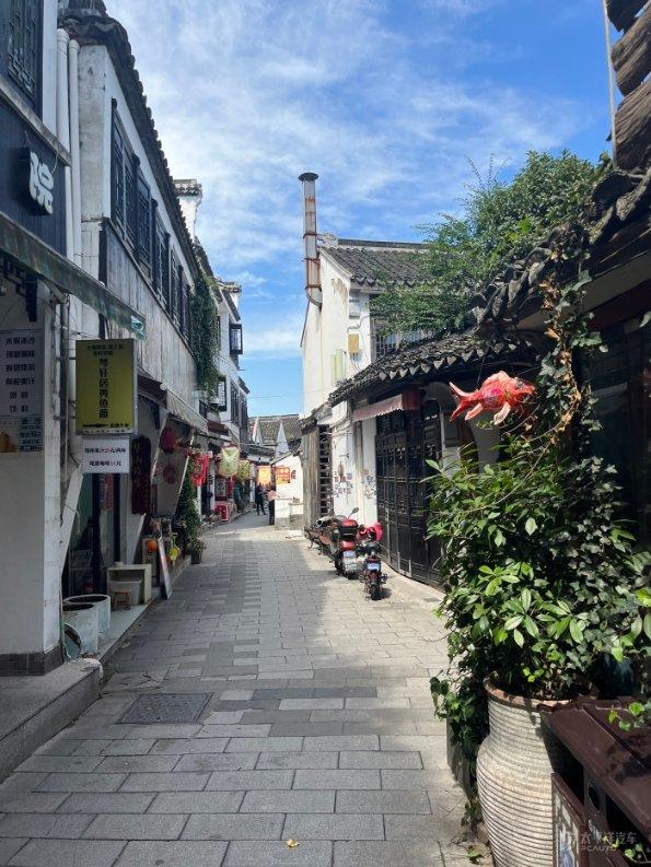行尸走肉：米琼恩